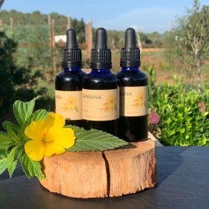 Tintura de damiana, Productos naturales, Artemisia Annua Ibiza, Hierbas orgánicas, Tintura herbal, Ingredientes naturales, Salud y bienestar, Tintura de hierbas, Hierbas medicinales, Alternativas naturales, Bienestar holístico, Productos de bienestar, Damiana Ibiza, Artemisia tintura de damiana, Damiana orgánica, Tintura de hierbas naturales, Tienda online de productos naturales