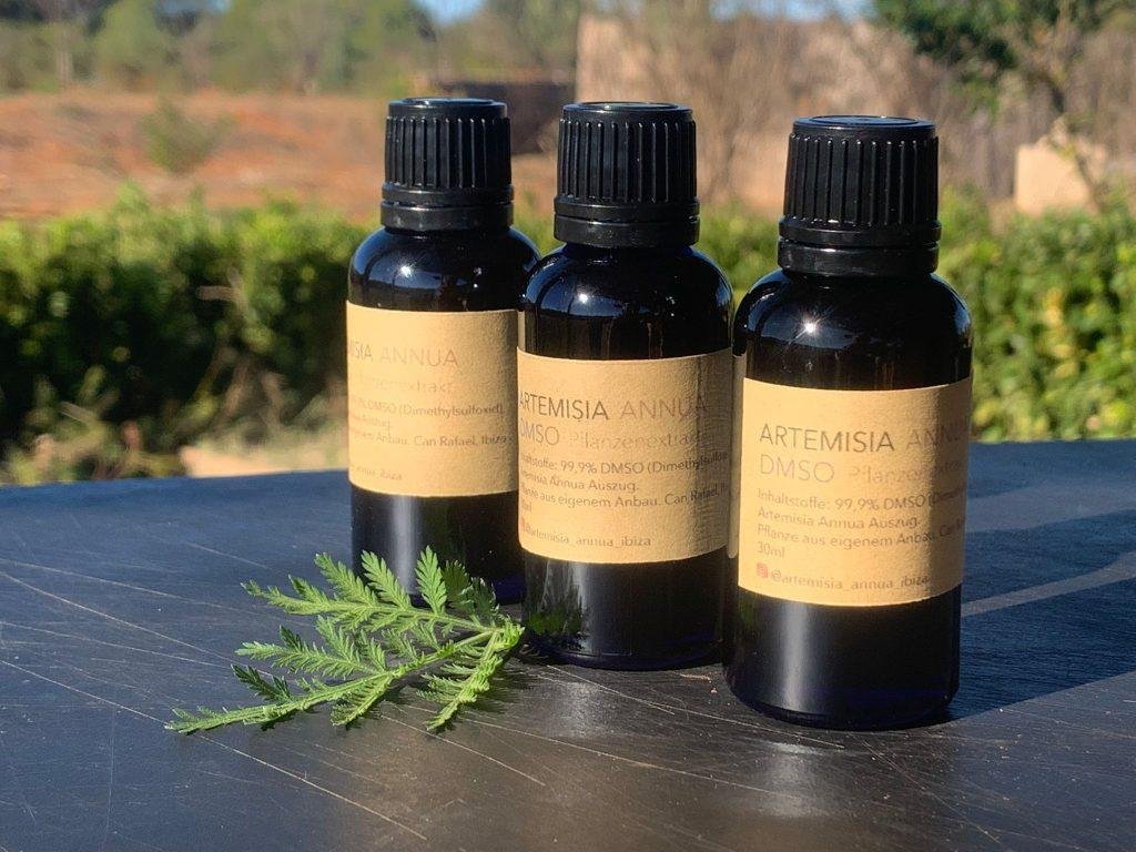 Tintura de Artemisia Annua con DMSO, Productos naturales, Artemisia Annua Ibiza, Hierbas orgánicas, Tintura herbal, Ingredientes naturales, Salud y bienestar, Tintura de hierbas, Hierbas medicinales, Alternativas naturales, Bienestar holístico, Productos de bienestar, Artemisia Annua con DMSO, Artemisia con DMSO, Tintura de Artemisia con DMSO, Tienda online de productos naturales