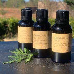 Tintura de Artemisia Annua con DMSO, Productos naturales, Artemisia Annua Ibiza, Hierbas orgánicas, Tintura herbal, Ingredientes naturales, Salud y bienestar, Tintura de hierbas, Hierbas medicinales, Alternativas naturales, Bienestar holístico, Productos de bienestar, Artemisia Annua con DMSO, Artemisia con DMSO, Tintura de Artemisia con DMSO, Tienda online de productos naturales