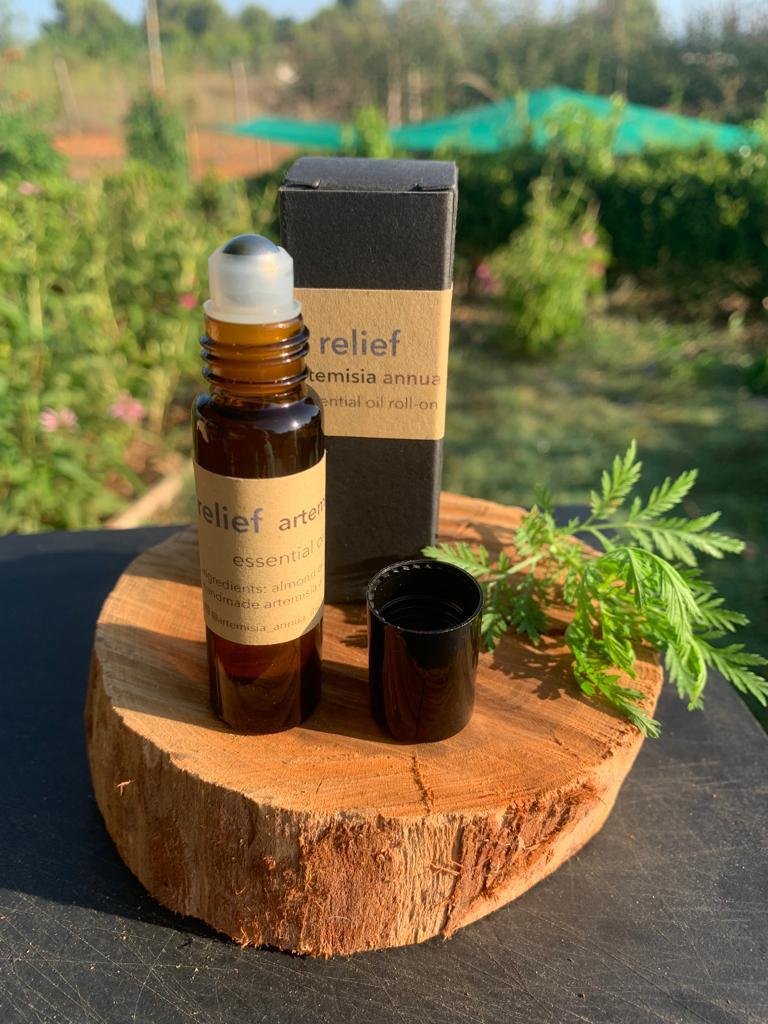 Roll On Aceite Esencial Artemisia Annua, Productos naturales, Artemisia Annua Ibiza, Roll On de aceite esencial, Aromaterapia, Cuidado personal, Aceite esencial de Artemisia Annua, Bienestar holístico, Ingredientes naturales, Aromas naturales, Roll On para aromaterapia, Tienda online de productos naturales.