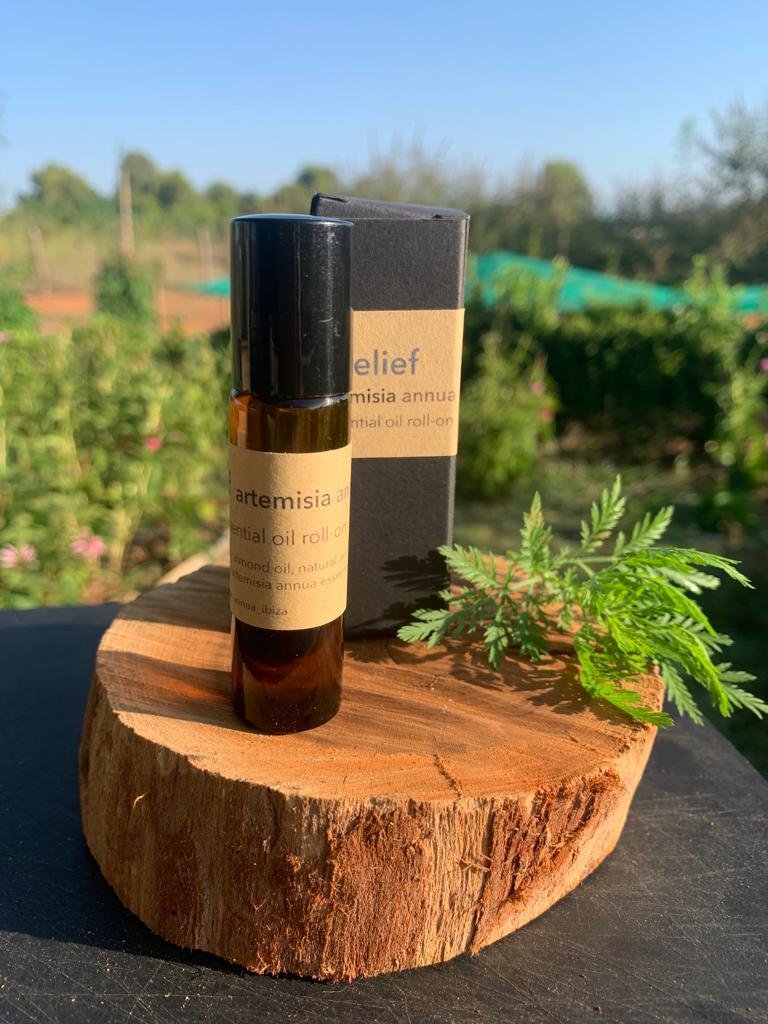 Roll On Aceite Esencial Artemisia Annua, Productos naturales, Artemisia Annua Ibiza, Roll On de aceite esencial, Aromaterapia, Cuidado personal, Aceite esencial de Artemisia Annua, Bienestar holístico, Ingredientes naturales, Aromas naturales, Roll On para aromaterapia, Tienda online de productos naturales.