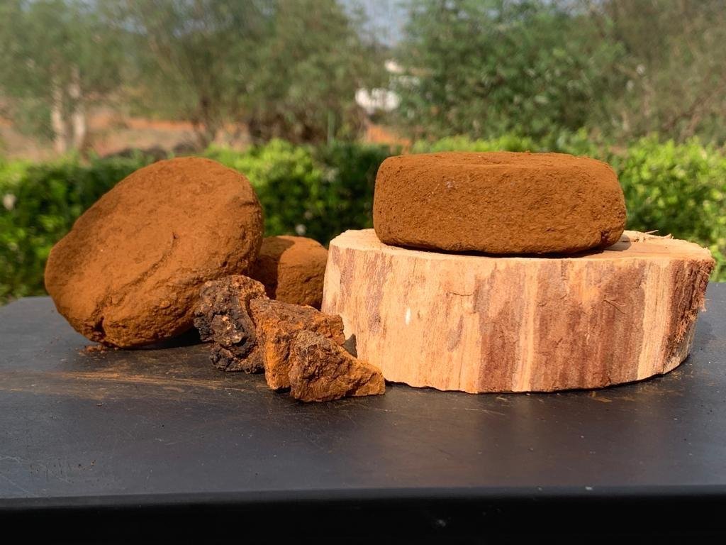 Champú de chaga, Productos naturales, Artemisia Annua Ibiza, Champú herbal, Ingredientes naturales, Cuidado capilar, Champú orgánico, Champú de hierbas, Chaga Ibiza, Artemisia champú de chaga, Champú de chaga natural, Champú de cuidado del cabello, Champú saludable, Champú de extracto de chaga, Champú nutritivo, Champú para el cuero cabelludo, Tienda online de productos naturales.