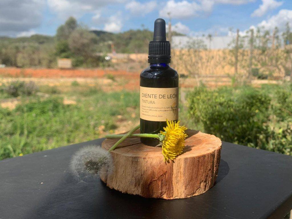 Artemisia Annua Ibiza, Productos naturales, Cosmética natural, Remedios naturales, Hierbas medicinales, Artemisia Annua, Cuidado de la piel, Belleza natural, Ingredientes naturales, Alternativas naturales, Bienestar holístico, Salud y bienestar, Plantas medicinales, Productos de belleza orgánicos, Cuidado holístico de la piel, Tienda online de productos naturales, Aromaterapia, Aceites esenciales, Terapias naturales, Alimentación saludable, Estilo de vida natural, Sostenibilidad, Ecología, Cuidado del medio ambiente, Bienestar emocional, Medicina alternativa, Tratamientos naturales, Suplementos herbales, Fitoterapia, Belleza consciente, Vida saludable, Equilibrio mente-cuerpo-alma, Consciencia ambiental.