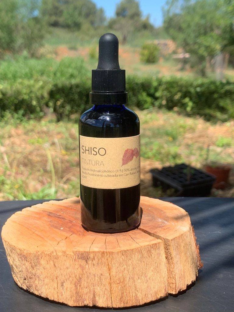 Artemisia Annua Ibiza, Productos naturales, Cosmética natural, Remedios naturales, Hierbas medicinales, Artemisia Annua, Cuidado de la piel, Belleza natural, Ingredientes naturales, Alternativas naturales, Bienestar holístico, Salud y bienestar, Plantas medicinales, Productos de belleza orgánicos, Cuidado holístico de la piel, Tienda online de productos naturales, Aromaterapia, Aceites esenciales, Terapias naturales, Alimentación saludable, Estilo de vida natural, Sostenibilidad, Ecología, Cuidado del medio ambiente, Bienestar emocional, Medicina alternativa, Tratamientos naturales, Suplementos herbales, Fitoterapia, Belleza consciente, Vida saludable, Equilibrio mente-cuerpo-alma, Consciencia ambiental.