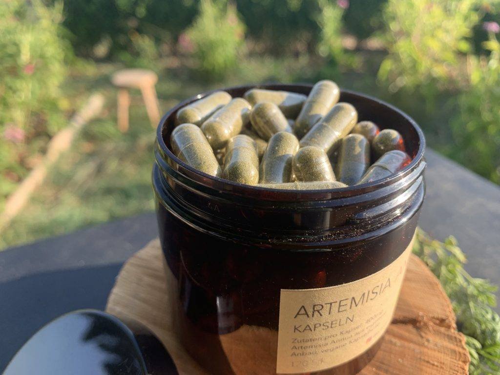 Artemisia Annua Ibiza, Productos naturales, Cosmética natural, Remedios naturales, Hierbas medicinales, Artemisia Annua, Cuidado de la piel, Belleza natural, Ingredientes naturales, Alternativas naturales, Bienestar holístico, Salud y bienestar, Plantas medicinales, Productos de belleza orgánicos, Cuidado holístico de la piel, Tienda online de productos naturales, Aromaterapia, Aceites esenciales, Terapias naturales, Alimentación saludable, Estilo de vida natural, Sostenibilidad, Ecología, Cuidado del medio ambiente, Bienestar emocional, Medicina alternativa, Tratamientos naturales, Suplementos herbales, Fitoterapia, Belleza consciente, Vida saludable, Equilibrio mente-cuerpo-alma, Consciencia ambiental.